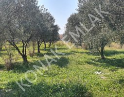 Altınovada Yola Cepheli Arsa