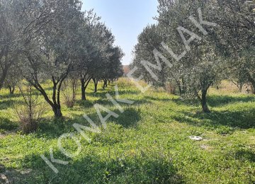 Altınovada Yola Cepheli Arsa