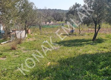 Altınovada Yola Cepheli Arsa