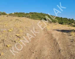 Ayvalık CAKMAK KOYUNDE 14 DONUM YATIRIMLIK TARLA