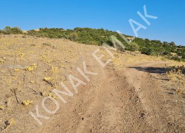 Ayvalık CAKMAK KOYUNDE 14 DONUM YATIRIMLIK TARLA
