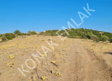 Ayvalık CAKMAK KOYUNDE 14 DONUM YATIRIMLIK TARLA
