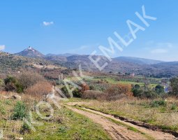 İZMİR DİKİLİDE SATILIK TARLA 13 DÖNÜM