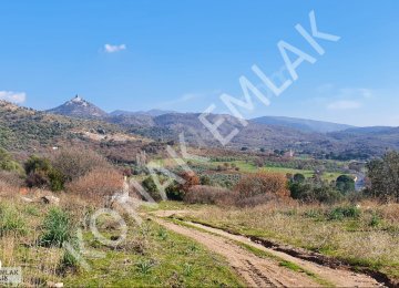 İZMİR DİKİLİDE SATILIK TARLA 13 DÖNÜM