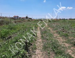 AYVALIK KONAK EMLAK TAN ALTINOVA DA SATILIK TARLA 440 METRE KARE