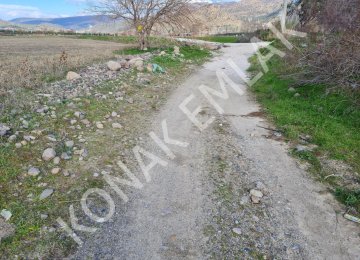 DİKİLİ BAHÇELİ KÖYDE SATILIK MÜSTAKİL TARLA