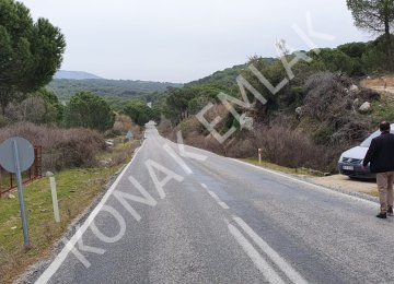 İZMİR BERHAMA AŞAĞIBEY 6.290 DÖNÜM ÇAMLIK BERGAMA YOLU CEPHELİ